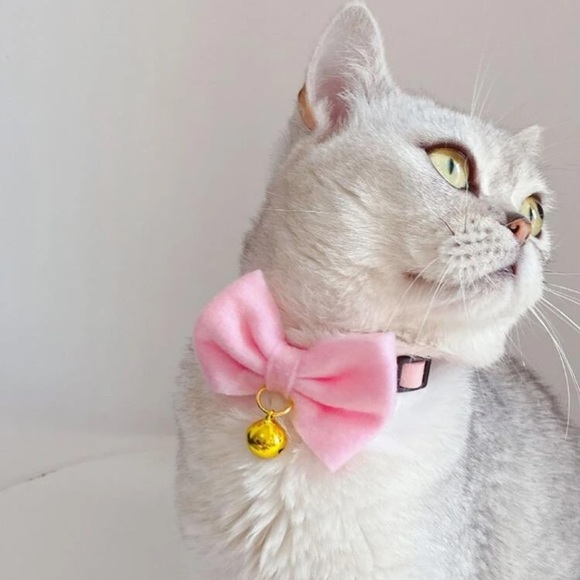 SHEIN Bow Cat Collar - Picture 2 of 7